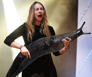 Illustration for article titled Our New Favorite Tumblr: SLUG SOLOS